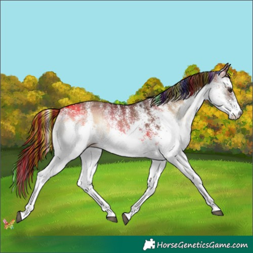 Horse Color:Painted White Spotted Liver Red Dun Onyx Rabicano 