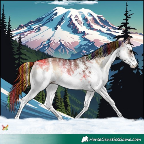 Horse Color:Painted White Spotted Liver Red Dun Onyx Rabicano 