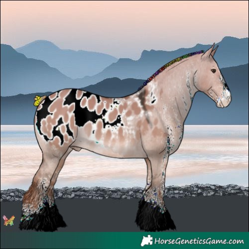Horse Color:Painted White Spotted Liver Red Dun Blanket 