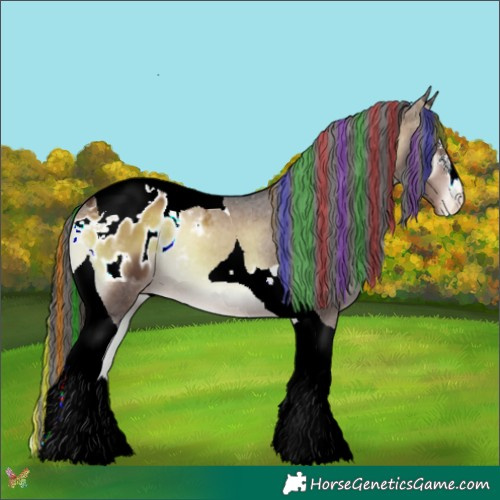Horse Color:Painted Liver Red Onyx Tobiano Blanket