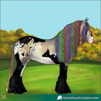 Horse Color:Painted Liver Red Onyx Tobiano Appaloosa