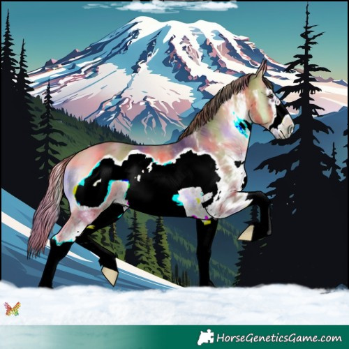 Horse Color:Nacre White Spotted Red Onyx Splash Frame Rabicano 