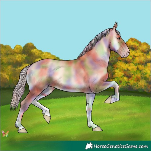 Horse Color:Nacre Silver Sable Champagne Onyx 