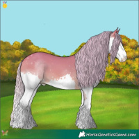 Horse Color:Watercolor Silver Sable Champagne Dun Splash 