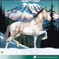 Horse Color:Plaid Amber Champagne Dun Splash Tobiano