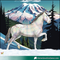 Horse Color:Nacre Plaid Bay Onyx Splash Appaloosa