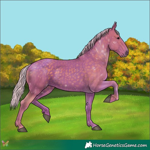 Horse Color:Watercolor Silver Black 