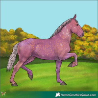 Horse Color:Watercolor Silver Black 