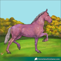 Horse Color:Watercolor Silver Black 