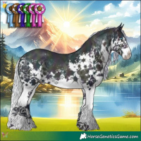 Horse Color:Watercolor Midnight Silver Buckskin Pearl Splash