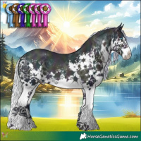 Horse Color:Watercolor Midnight Silver Buckskin Pearl Splash