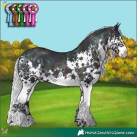 Horse Color:Watercolor Midnight Silver Buckskin Pearl Splash 