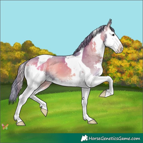 Horse Color:Watercolor White Spotted Smoky Blue Onyx Splash Tobiano 