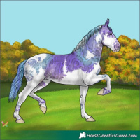 Horse Color:Painted Watercolor Smoky Black Ice Splash Tobiano