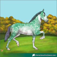 Horse Color:Painted Watercolor White Spotted Smoky Black Ice