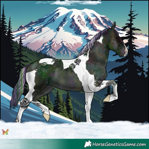 Horse Color:Painted Midnight Blue Onyx Ice Tobiano 