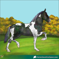 Horse Color:Painted Midnight Blue Onyx Ice Tobiano 