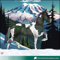 Horse Color:Painted Midnight Blue Onyx Ice Tobiano 