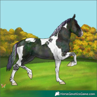 Horse Color:Painted Midnight Blue Onyx Ice Tobiano 