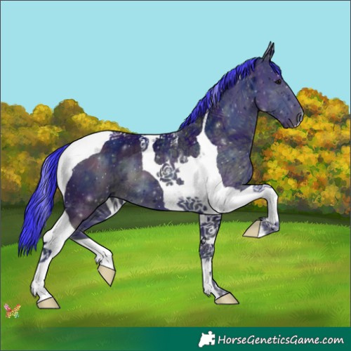 Horse Color:Watercolor Midnight Smoky Black Ice Tobiano 