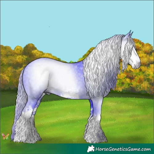 Horse Color:Gray Watercolor White Spotted Liver Chestnut 