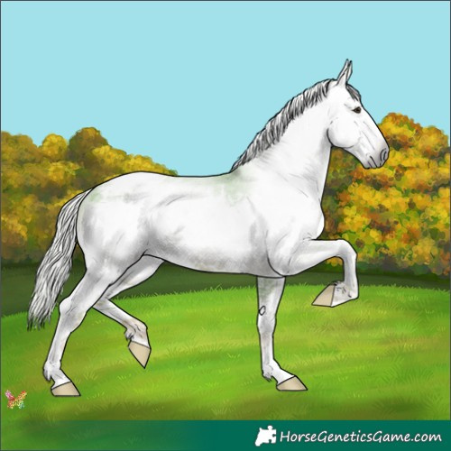 Horse Color:Gray Watercolor White Spotted Chestnut Blanket 