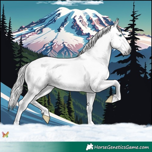 Horse Color:Gray Watercolor White Spotted Palomino Splash Varnish 