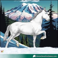 Horse Color:Gray Watercolor White Spotted Palomino Splash Appaloosa