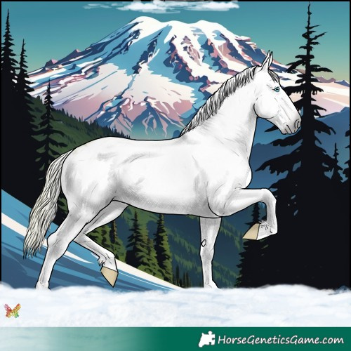 Horse Color:Gray Watercolor White Spotted Chestnut Splash Appaloosa 