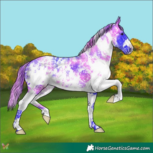 Horse Color:Watercolor Smoky Black Sabino 