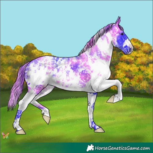 Horse Color:Watercolor Smoky Black Sabino 