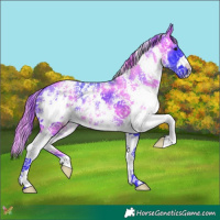 Horse Color:Watercolor Smoky Black Sabino