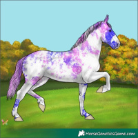 Horse Color:Watercolor Smoky Black Sabino