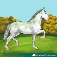 Horse Color:Watercolor Chocolate Palomino Pearl Onyx Sabino Splash 