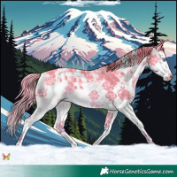 Horse Color:Smoky Creme Sabino Splash
