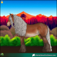 Horse Color:Silver Bay 