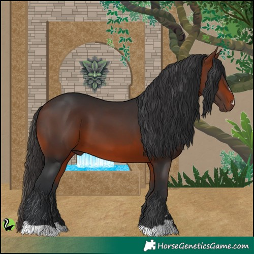 Horse Color:Brown 