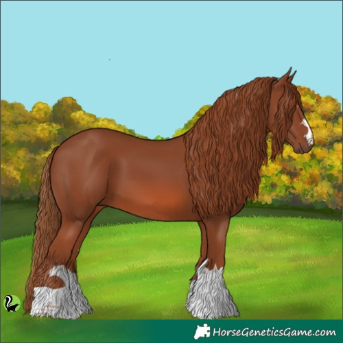 Horse Color:Chestnut 