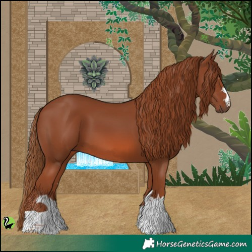 Horse Color:Chestnut 