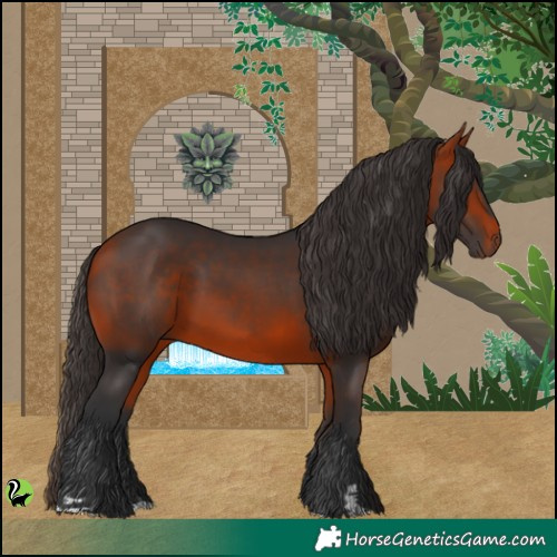 Horse Color:Bay 