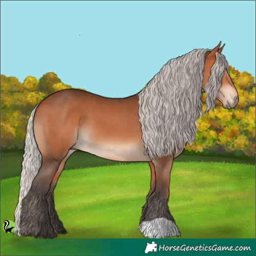 Horse Color:Silver Brown 
