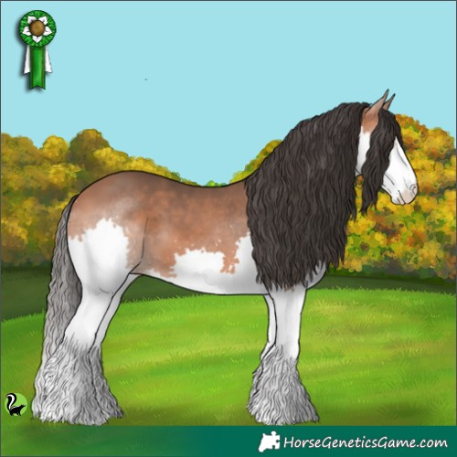 Horse Color:Bay Splash 