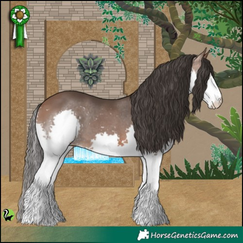 Horse Color:Bay Splash 
