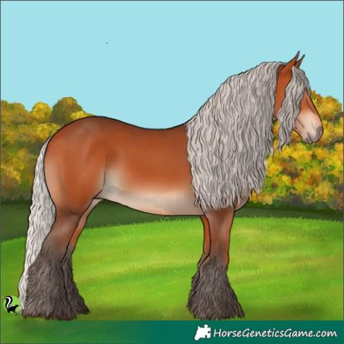 Horse Color:Silver Bay 