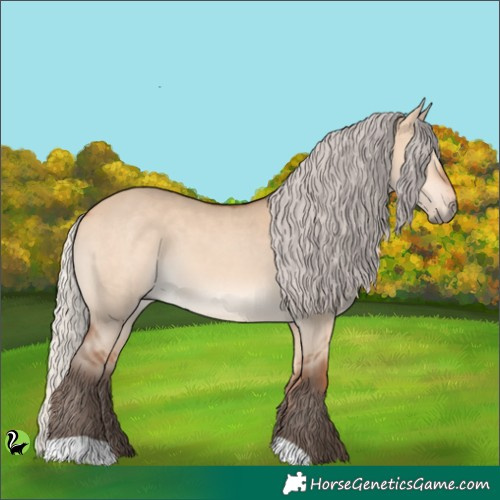 Horse Color:Silver Bay Dun 