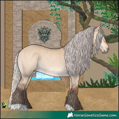 Horse Color:Silver Bay Dun 
