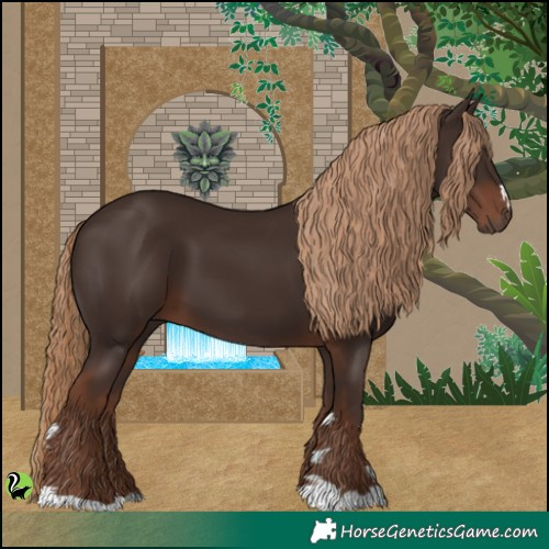 Horse Color:Liver Chestnut 