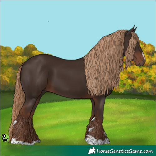 Horse Color:Liver Chestnut 