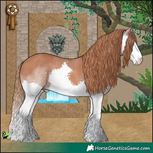 Horse Color:Chestnut Splash 