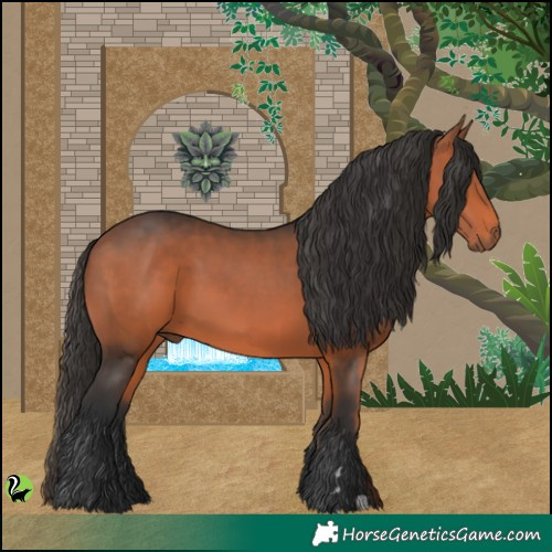 Horse Color:Brown 